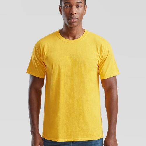 Fruit of the Loom Valueweight T SS030 Valueweight T Thumbnail